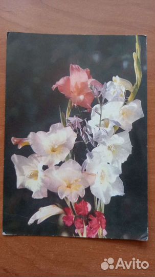 Почтовая карточка СССР 1970