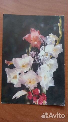 Почтовая карточка СССР 1970