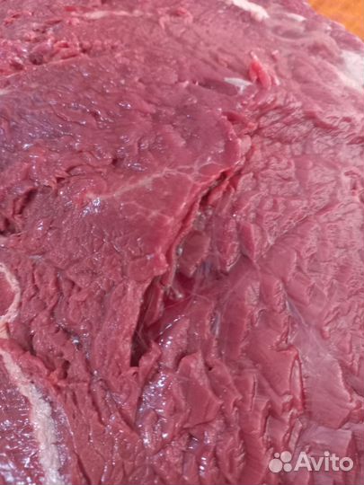 Мясо конина частями