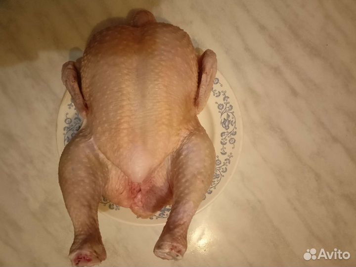 Мясо кур и индюшки