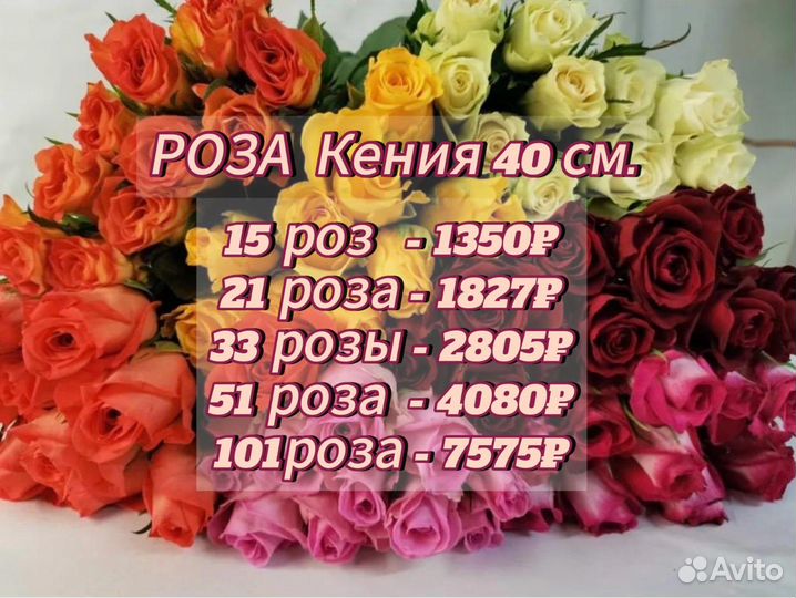 Роза 15 21 33 52 101 микс