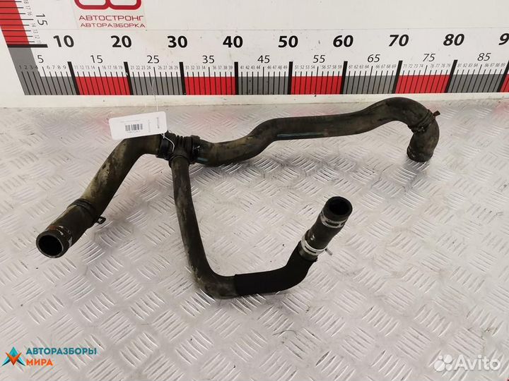 Патрубок радиатора Renault Modus 2005 8200173007