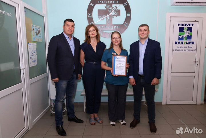 Ветеринарный врач. Эндоскопия собакам и кошкам