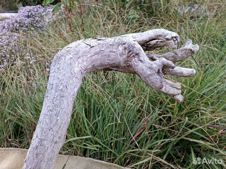 Морское дерево, дрифтвуд, палочки для декора