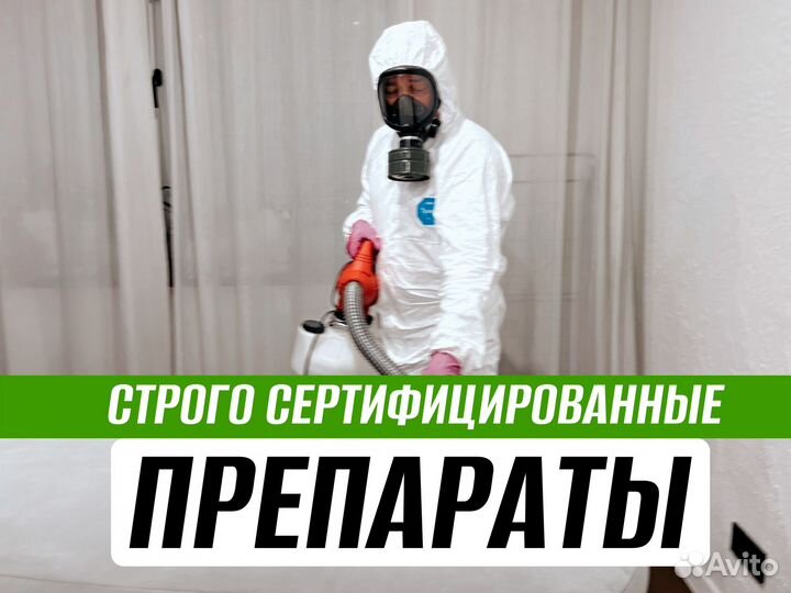 Уничтожение насекомых тараканов