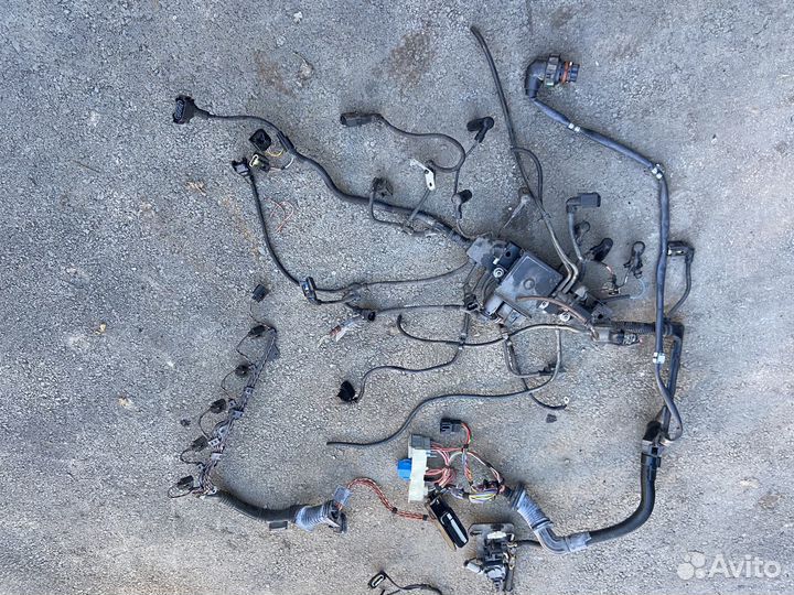 Проводка двс BMW 5 E60-61 3.0D. 2009г