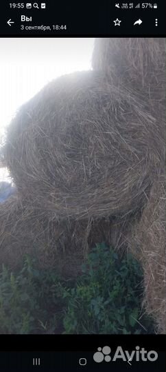 Сено солома