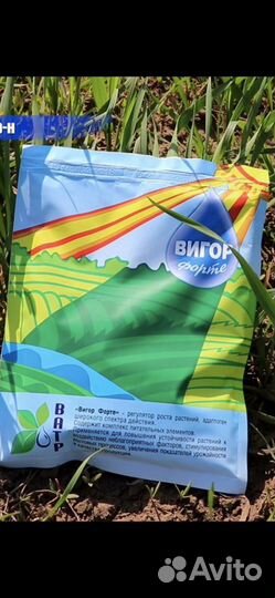 Вигор форте. Регулятор роста растений