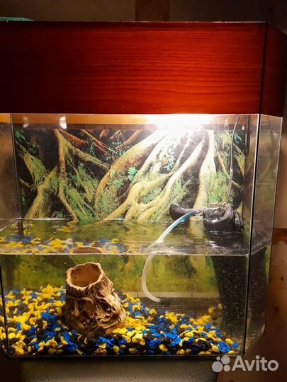 Аквариум