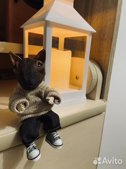 Бультерьер Эрни