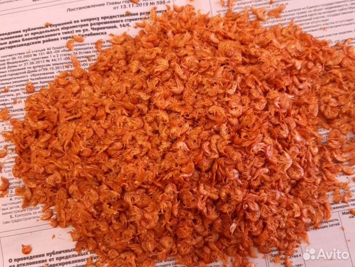 Гаммарус сушенный опт