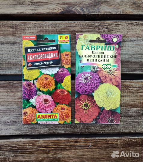 Семена Циннии