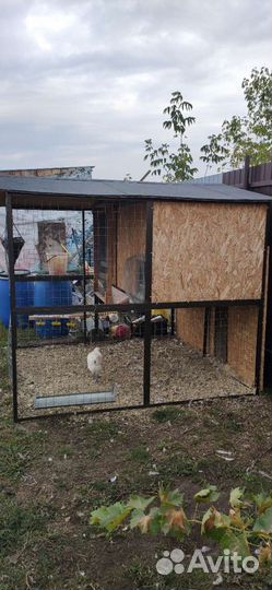 Дом для кур