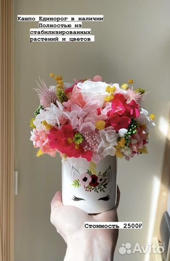 Цветы стабилизированные