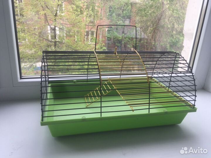 Товары для грызунов