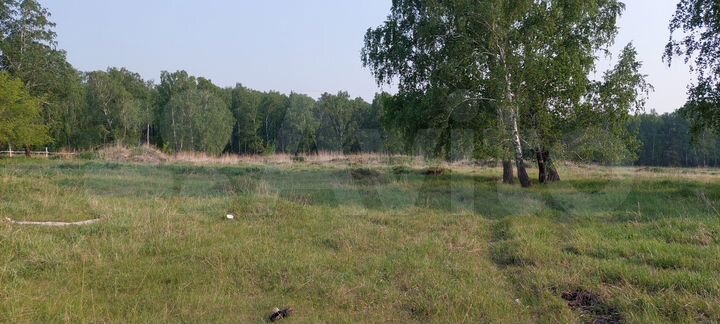 Участок 15 га (ИЖС)