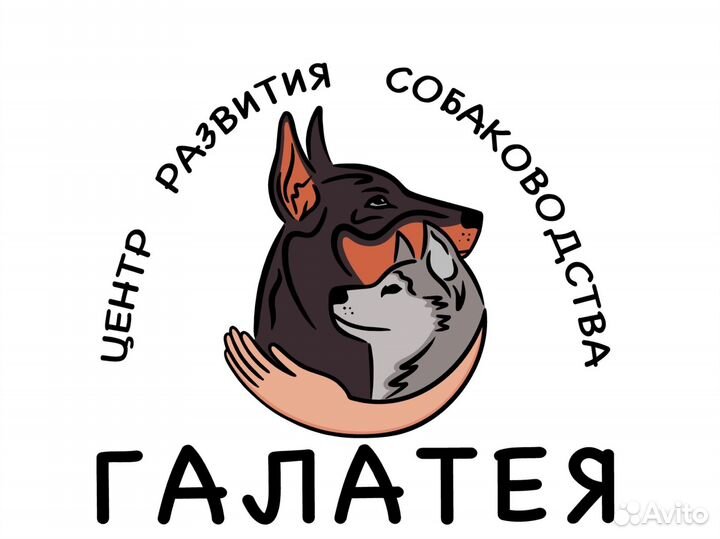 Груминг домашних животных