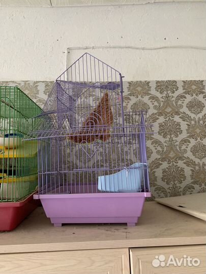 Клетка для хомяка 2