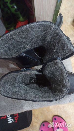 Сапоги