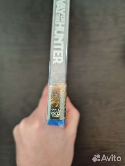 Игра Way of the Hunter для PS5 на русском новая