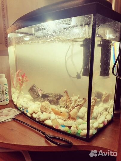 Продам аквариум с рыбками на 20 литров с рыбаами