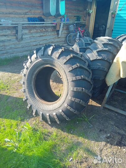 Шина ободрыш ви 3