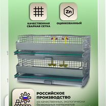 Клетка для перепелов на 60 голов (кп-60-2я), Солнечногорск