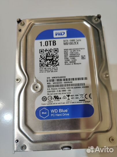 Жесткий диск 1 тб wd blue