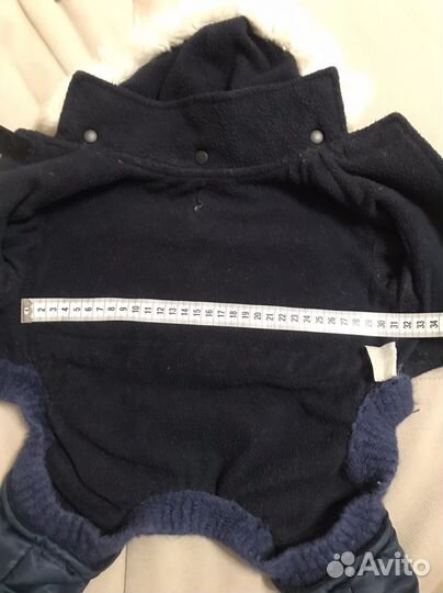 Одежда для собак мелких пород