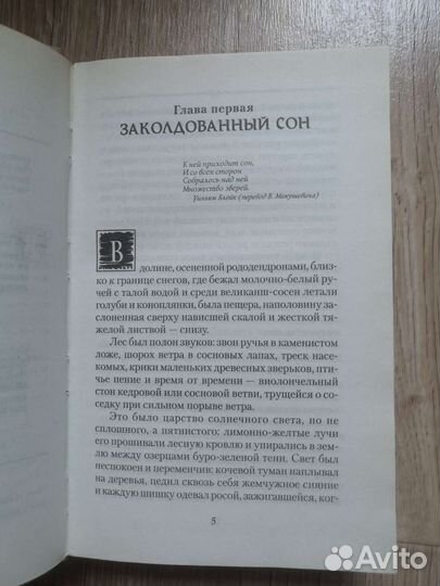 Янтарный телескоп Филипп Пулман