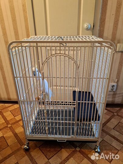 Клетка для крупного попугая