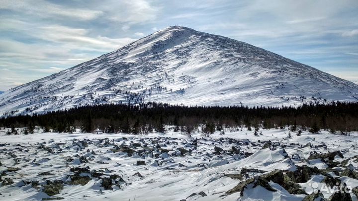 Право соучредителя