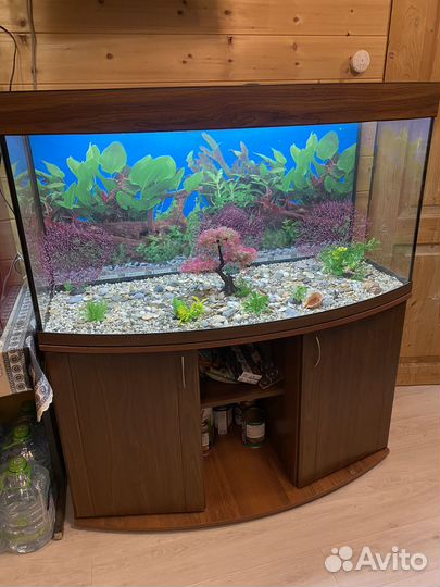 Аквариум с тумбой 350 литров и освещением