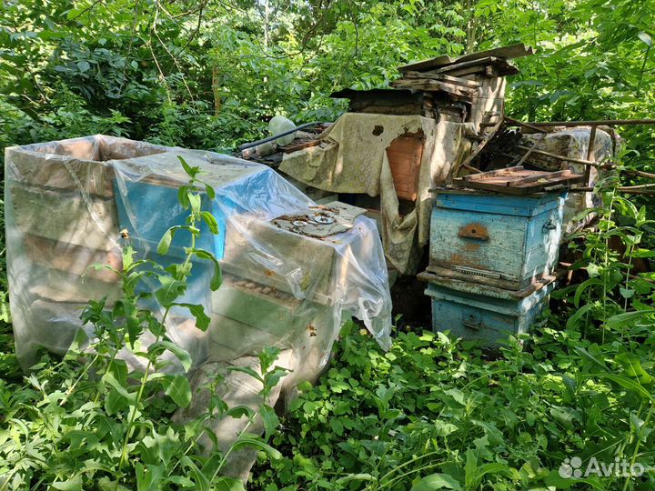 Ульи для пчел