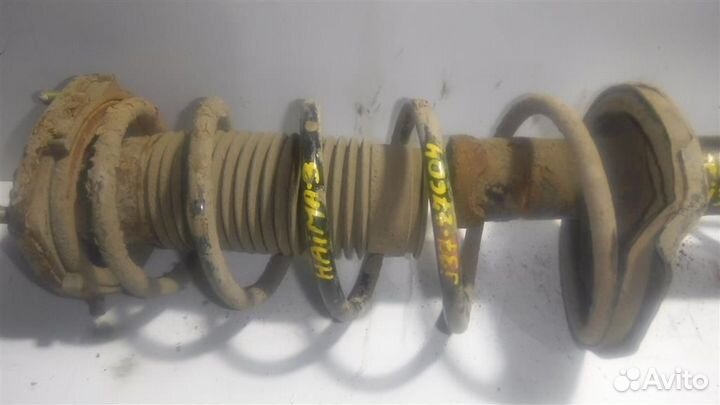 Пружина задняя Haima Haima 3 2007-2013