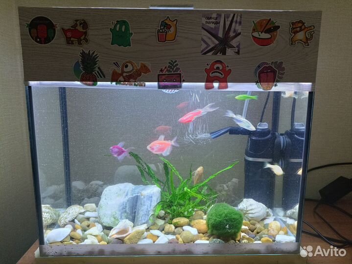 Аквариум 15 литров