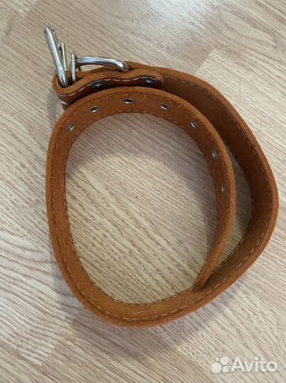 Ошейник для собаки