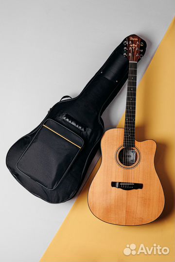 Акустическая гитара Tasyte TS 62 D Массив