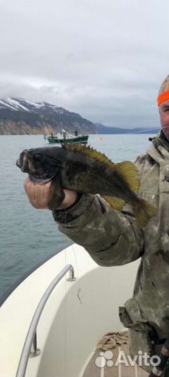 Морская рыбалка на Камчатке