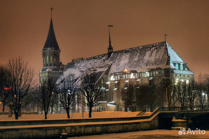 Экскурсии. Куршская коса, Калининград и область