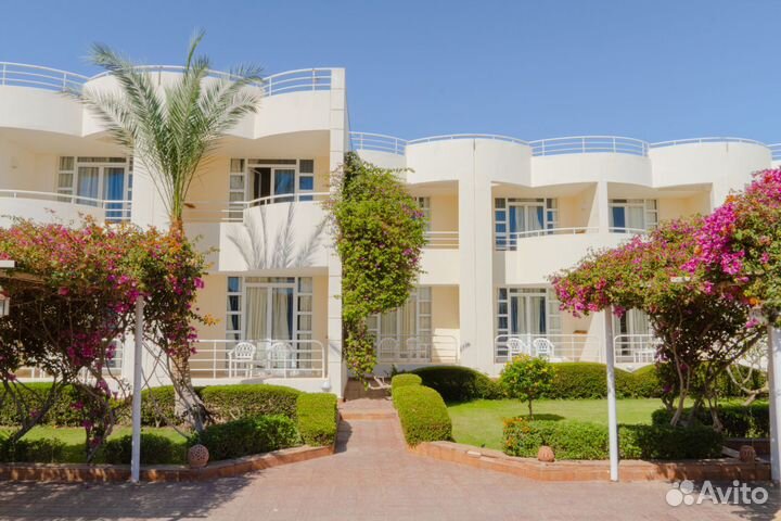 Горящий тур в Египет отель 4*