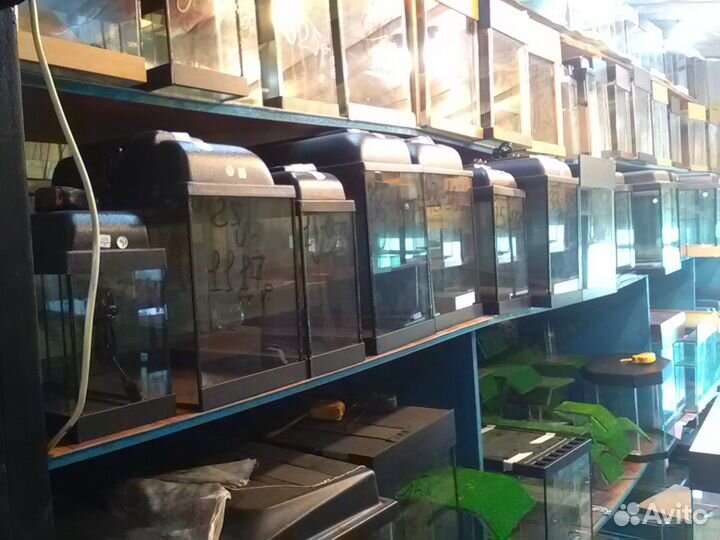 Аквариумы в наличии