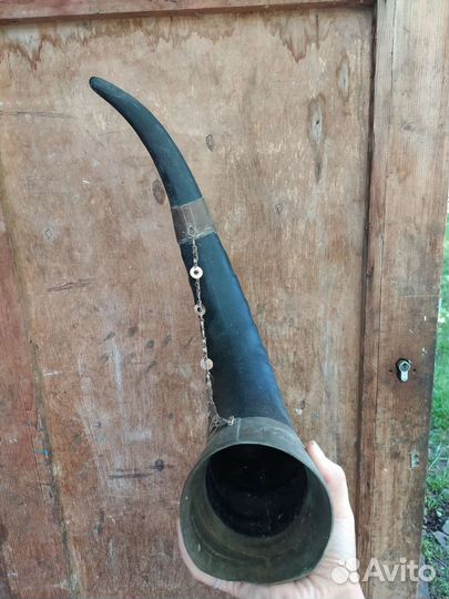 Рог изобилия