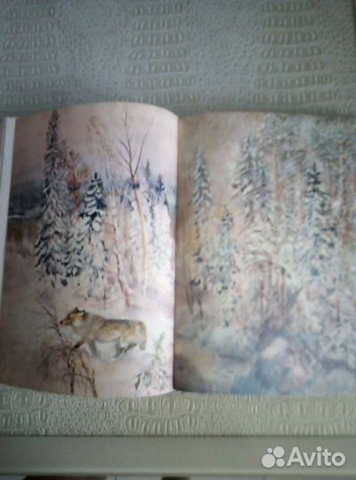 Книга Бианки