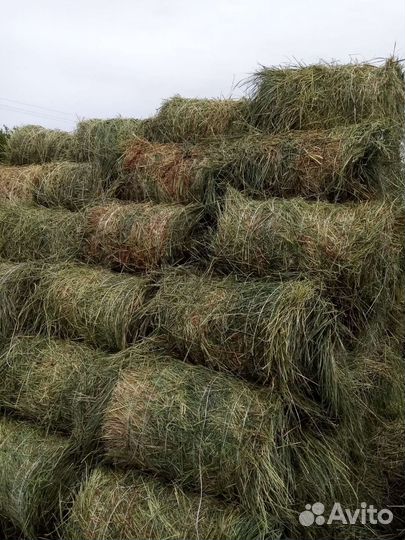 Продам сено в маленьких рулонах