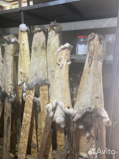 Кроличьи шкурки