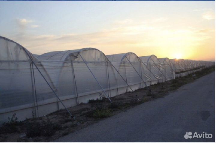 Строительство промышленых теплиц