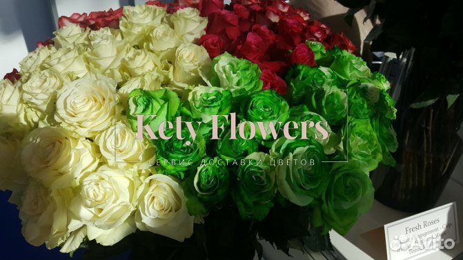 101 роза цветы доставка