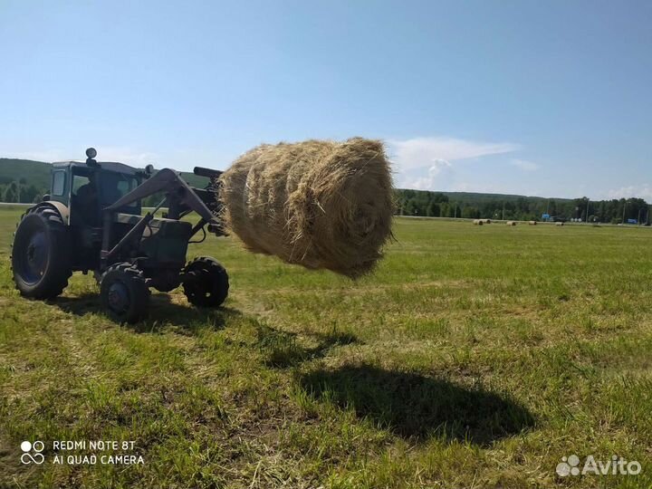 Сено в рулонах