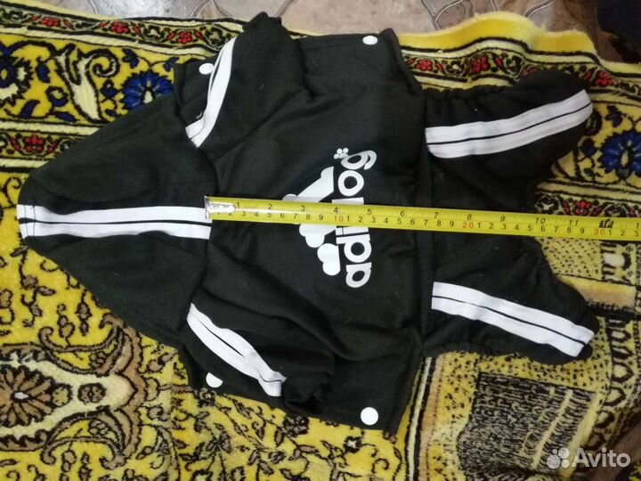 Костюм для собаки